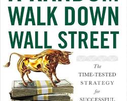 Image of Random Walk Down Wall Street book cover