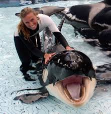 Dawn Brancheau 1969 to 2010