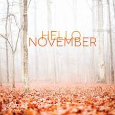 Bildresultat för november