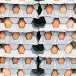  Nutrition journal suggests new guidelines for egg consumption