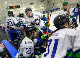 Can the ‘Heated Rivalry’ phenomenon help hockey become more inclusive for gay players?