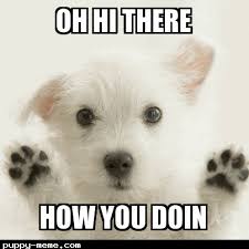 Image result for hi meme