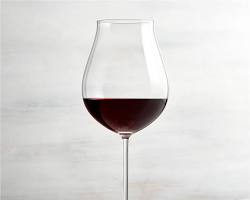 Pinot Noir wine glass