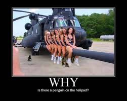 Funny Picture Clip: Funny Demotivational Poster Free Download via Relatably.com