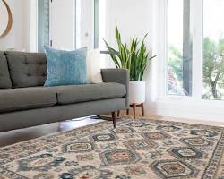 Image of living room with a plain rug and patterned sofa