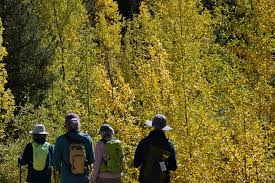 The Denver Post - News update