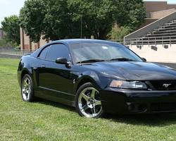 2004 Ford Mustang SVT Cobra car, year 2004