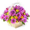 Gifts, Flowers Hampers Marks Spencer