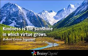 Virtue Quotes - BrainyQuote via Relatably.com