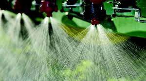 foliar feeding ile ilgili görsel sonucu