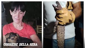 Trend Google: lucertola messicana barbona