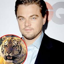 Leonardo DiCaprio is doing his part to restore the good name (and population) of tigers, teaming up with the World Wildlife Fund to kick off Save Tigers Now ... - 300.dicaprio.tiger.lc.052710