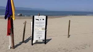 Homem morre após ser arrastado por crocodilo em praia no México
