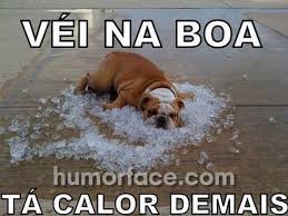 Resultado de imagem para frases boas