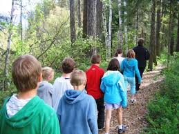 Image result for organisms and their environment