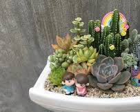 Hình ảnh về Một terrarium đơn giản với sen đá và xương rồng, phù hợp cho người mới bắt đầu