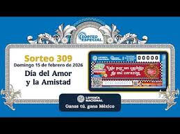 Resultados Sorteo Especial 309: revisa el premio mayor del domingo 15 de febrero