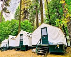 camping in Yosemite National Park