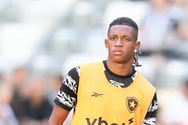 Botafogo recusa proposta do Palmeiras por Danilo