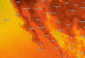 Pronóstico