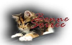 Résultat de recherche d'images pour "bonne soirée zen"