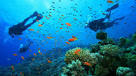 Top Dive Sites in the World - Scuba Magazine