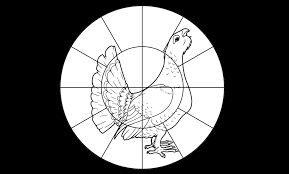 images?q=tbn:ANd9GcRxAu31L4c-5MJ9PQINgWPineRUZvhx1Sg1vFVHSkbb0J3t6sCTKQ