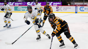 Västerbottens-Kuriren - News update