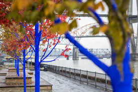 Résultat de recherche d'images pour "blue trees"