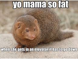 Image result for ok good meme