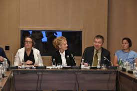 Council of Europe report: Kosovo has made progress, but challenges to media freedom remain