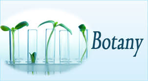 botany এর চিত্র ফলাফল