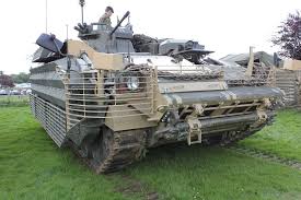 Image result for warrior rarden