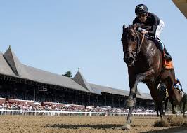Champagne Could be Next for Impressive Maiden Winner Club Reign