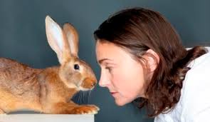 Sarah Winman with her rabbit friend - 392f3e874151ba8ed63885483282