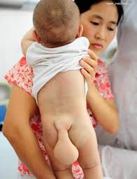 نتیجه تصویری برای اسامی فیلم های تاریخی که تابه حال ساخته شده