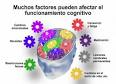 Funciones cognitivas