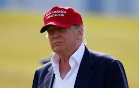 Résultat de recherche d'images pour "trump wind"