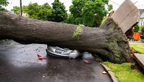 Fallen tree crushes cars in Queens as high winds and heavy rains batter NYC