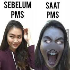 Hasil gambar untuk meme terlucu