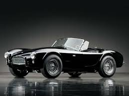 Image result for black cobra with sweet girl