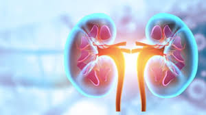 Fierce Biotech - News update