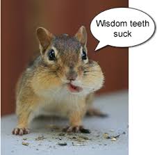 Quotes About Wisdom Teeth. QuotesGram via Relatably.com