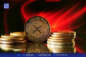 تحلیل سقوط قیمت XRP و افزایش خرید نهنگ‌ها در بازار رمزارز