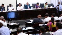Plans to cultivate 36,000 acres of coconut this year