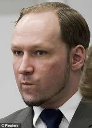 Image result for anders behring breivik
