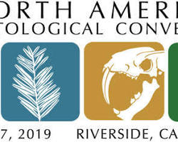Image of Paleontology Convention, Southern California