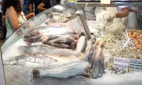Peixe popular na mesa dos brasileiros deve desaparecer dos mercados após alerta de extinção