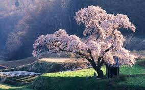 Image result for pictures gallery for amazing places of the world