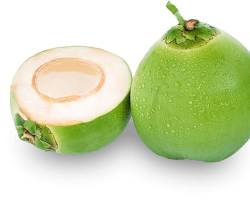 Hình ảnh về Quả dừa (trái cây)